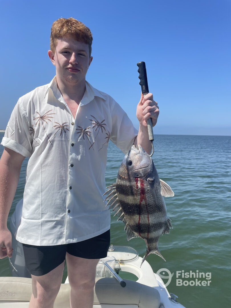 Biloxi Report Photo 0