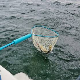 Lakeside Marblehead Verslag Foto 1