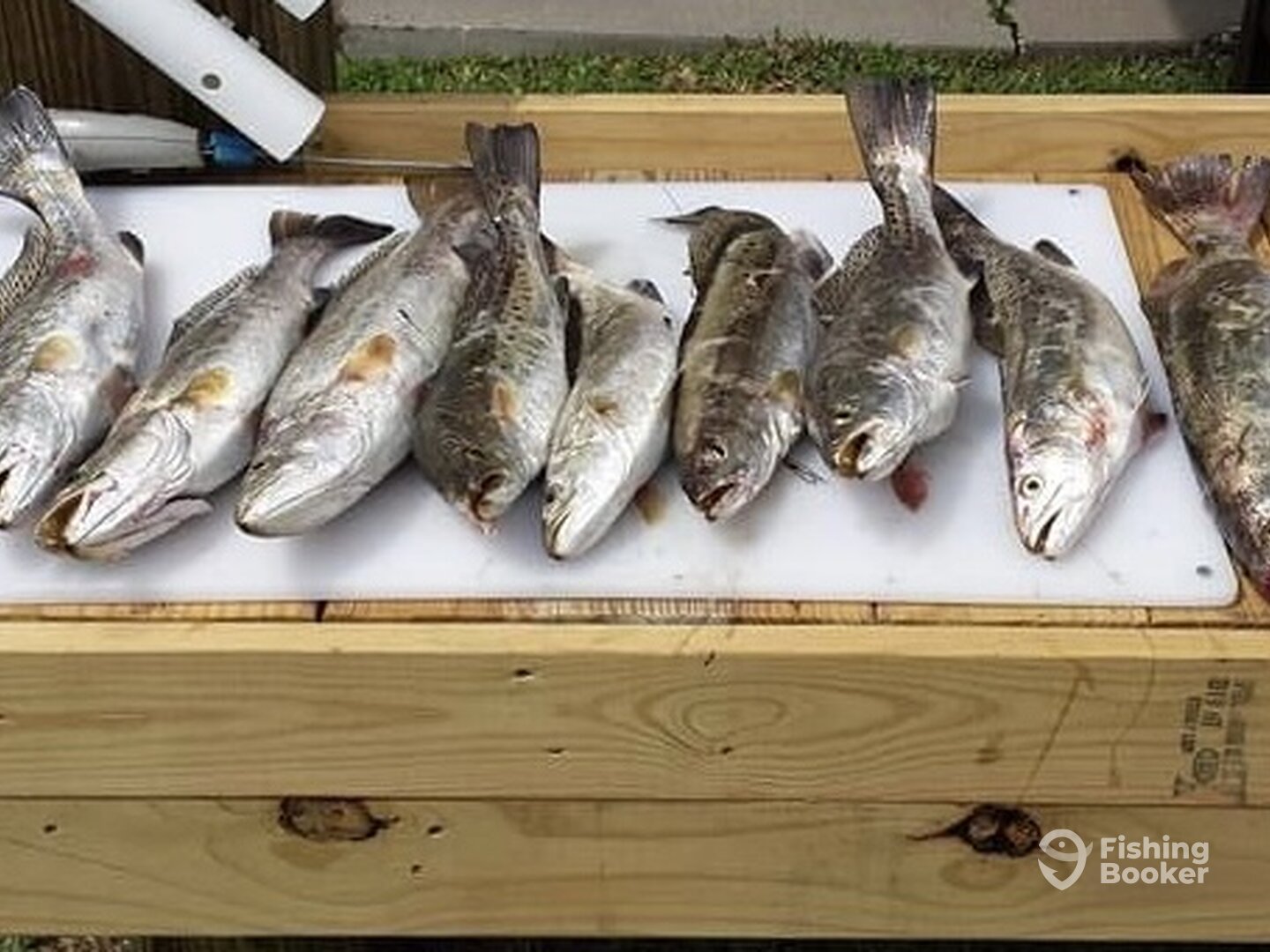 Bolivar Peninsula Report Photo 0