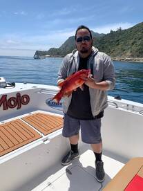 Sheephead for dinner!