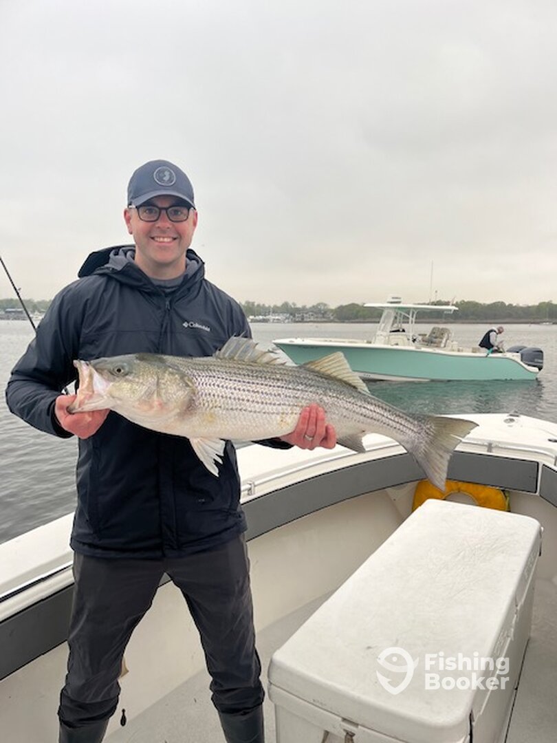 Highlands Report Photo 0