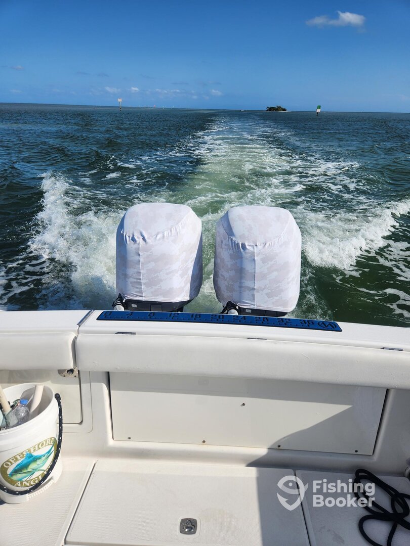 Tavernier Report Photo 0