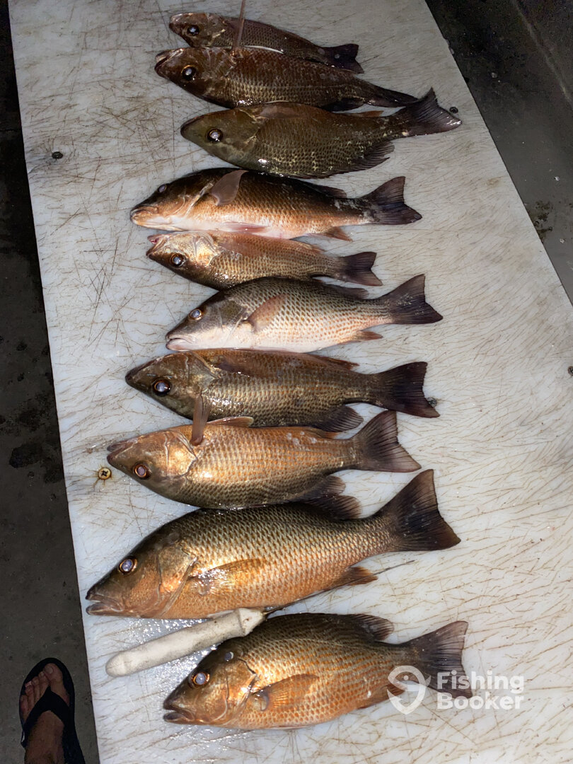 Port Canaveral Report Photo 0