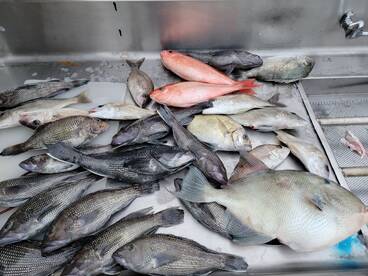 A Mixed Bag of Table Fare!