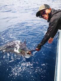 Herradura Report Photo 2