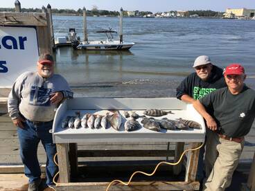 Jacksonville Report Photo 1