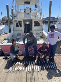 Bluefish are snapping.