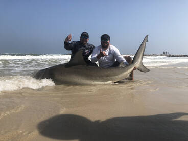 Corpus Christi Report Photo 1