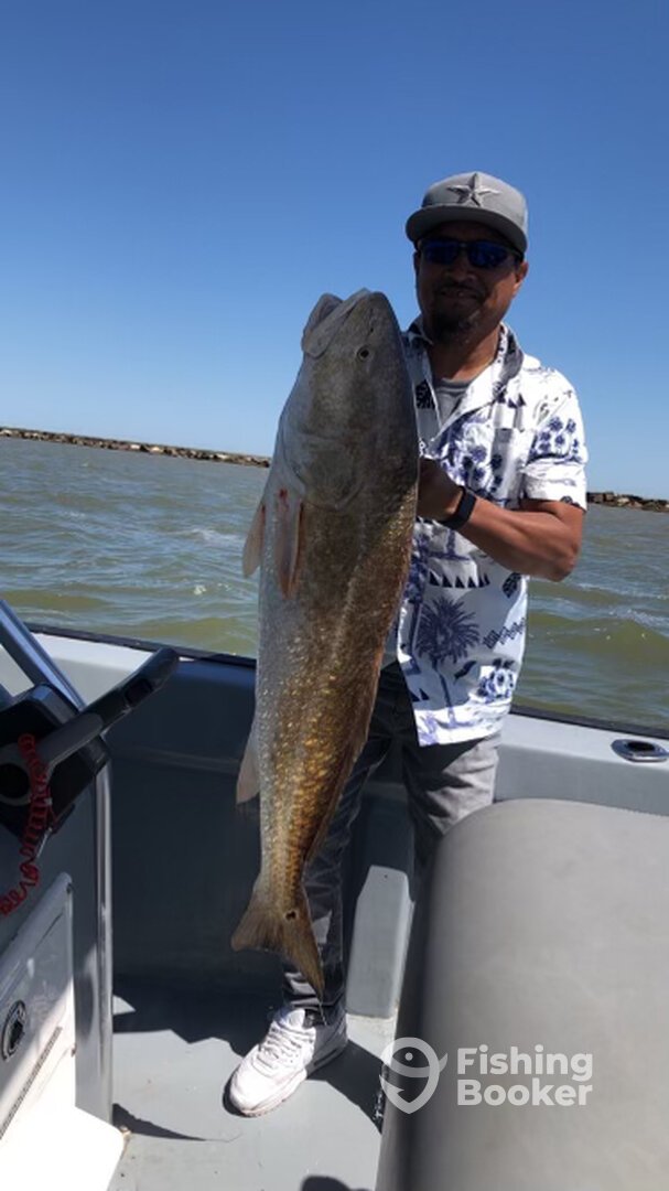 Galveston Report Photo 0