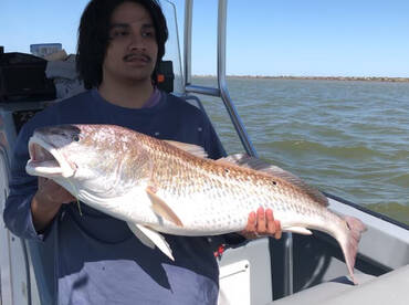 Galveston Report Photo 1