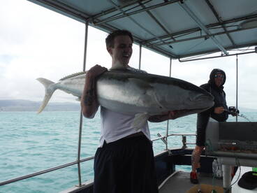 Start of the new season