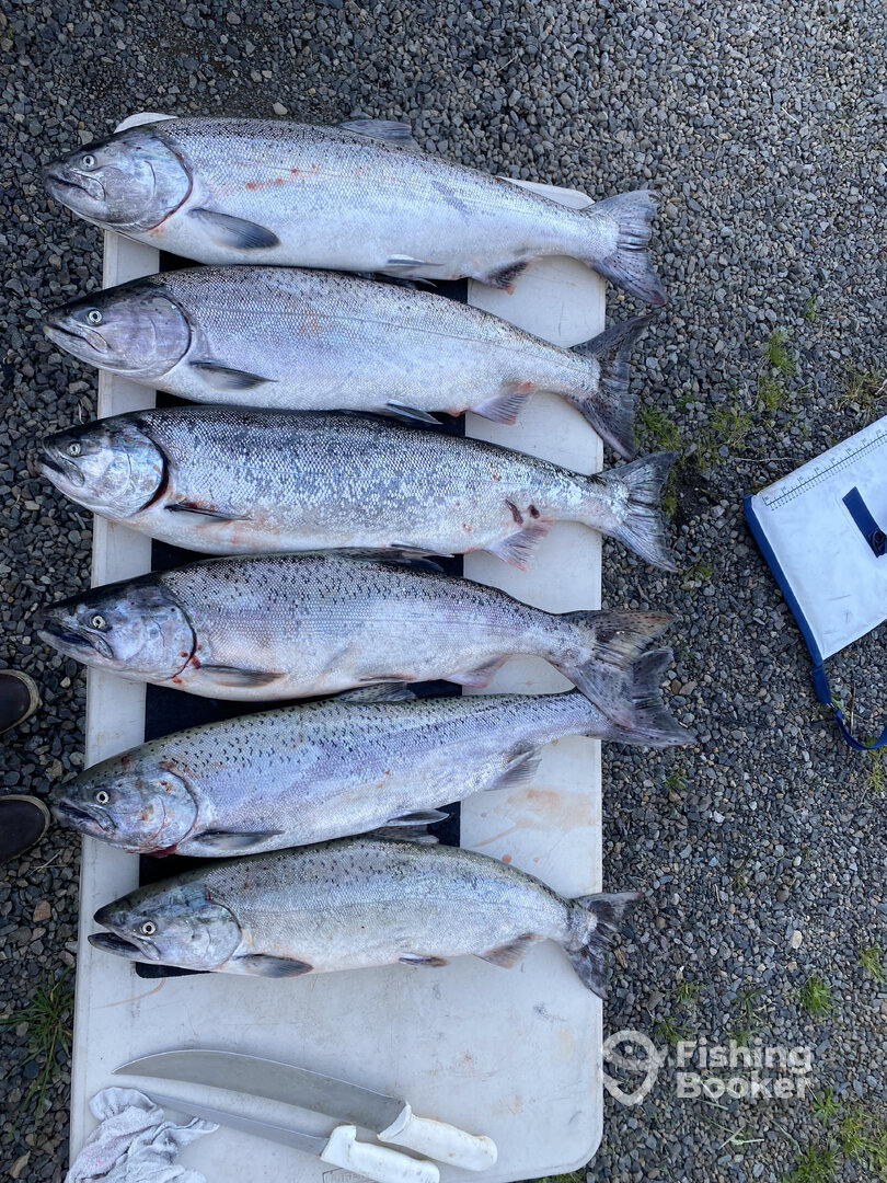 Gresham Report Photo 0