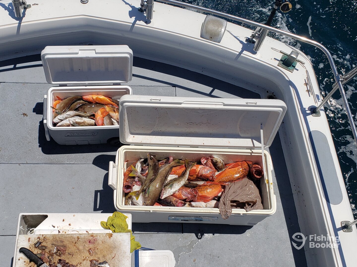 Ensenada Report Photo 0