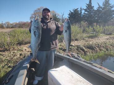 Mastic Report Photo 2