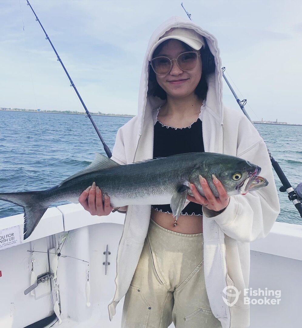 New York City Report Photo 0