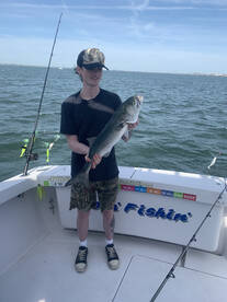 New York City Report Photo 2