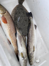 South Padre Island Report Photo 2