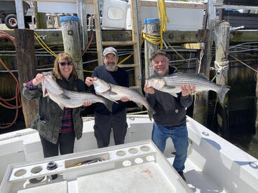 Highlands Verslag Foto 2