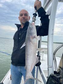 Grapevine Report Photo 2