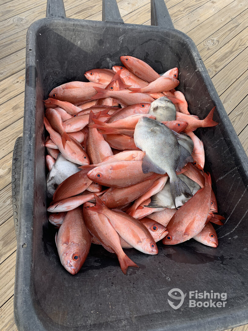 Orange Beach Report Photo 0