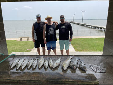 Palacios Report Photo 1