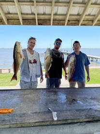 Palacios Report Photo 2