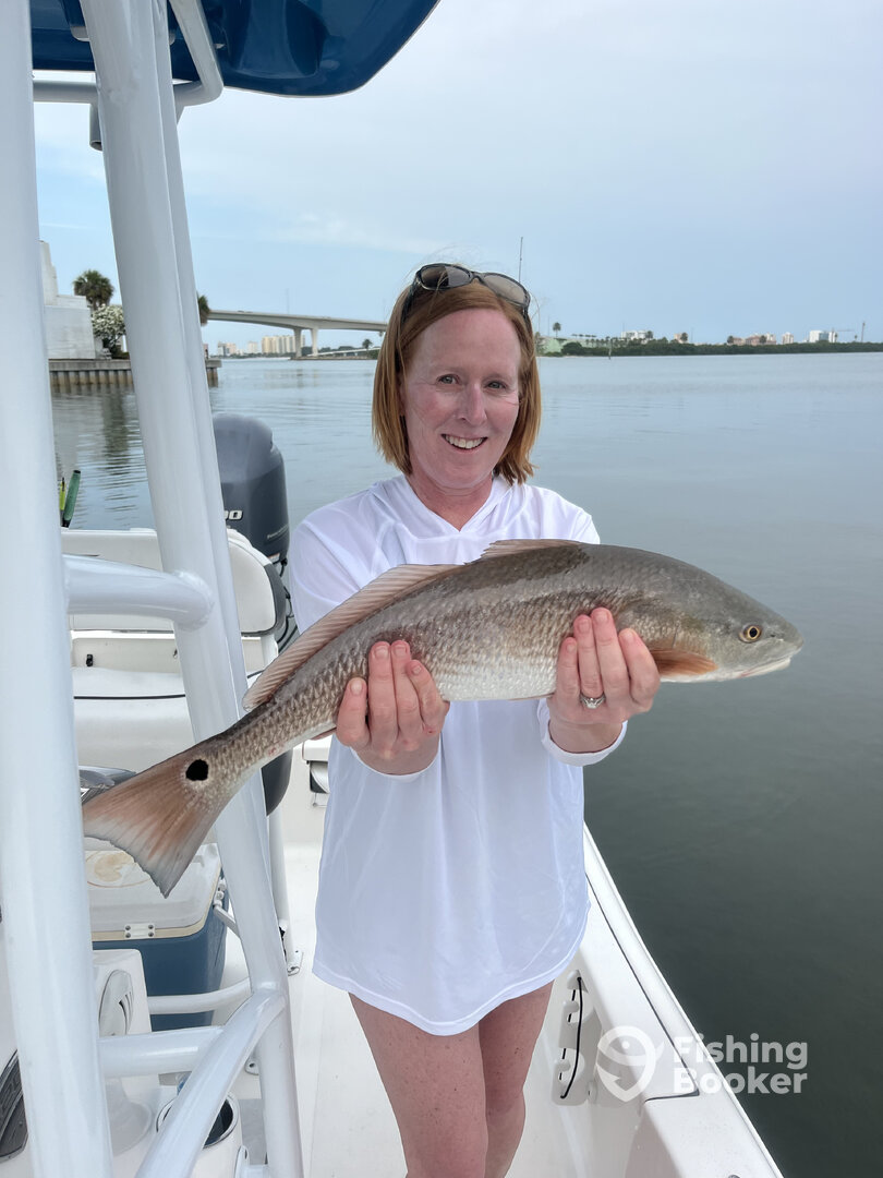 Belleair Bluffs Report Photo 0