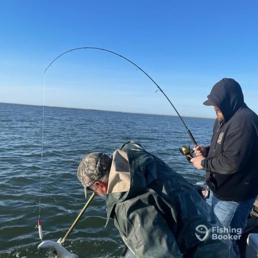 Mastic Report Photo 0