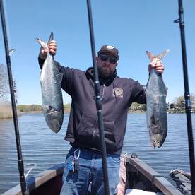 Mastic Report Photo 2