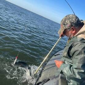 Mastic Report Photo 1