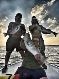 Kingston Report Photo 1