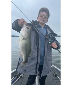 The lege bite is on fire