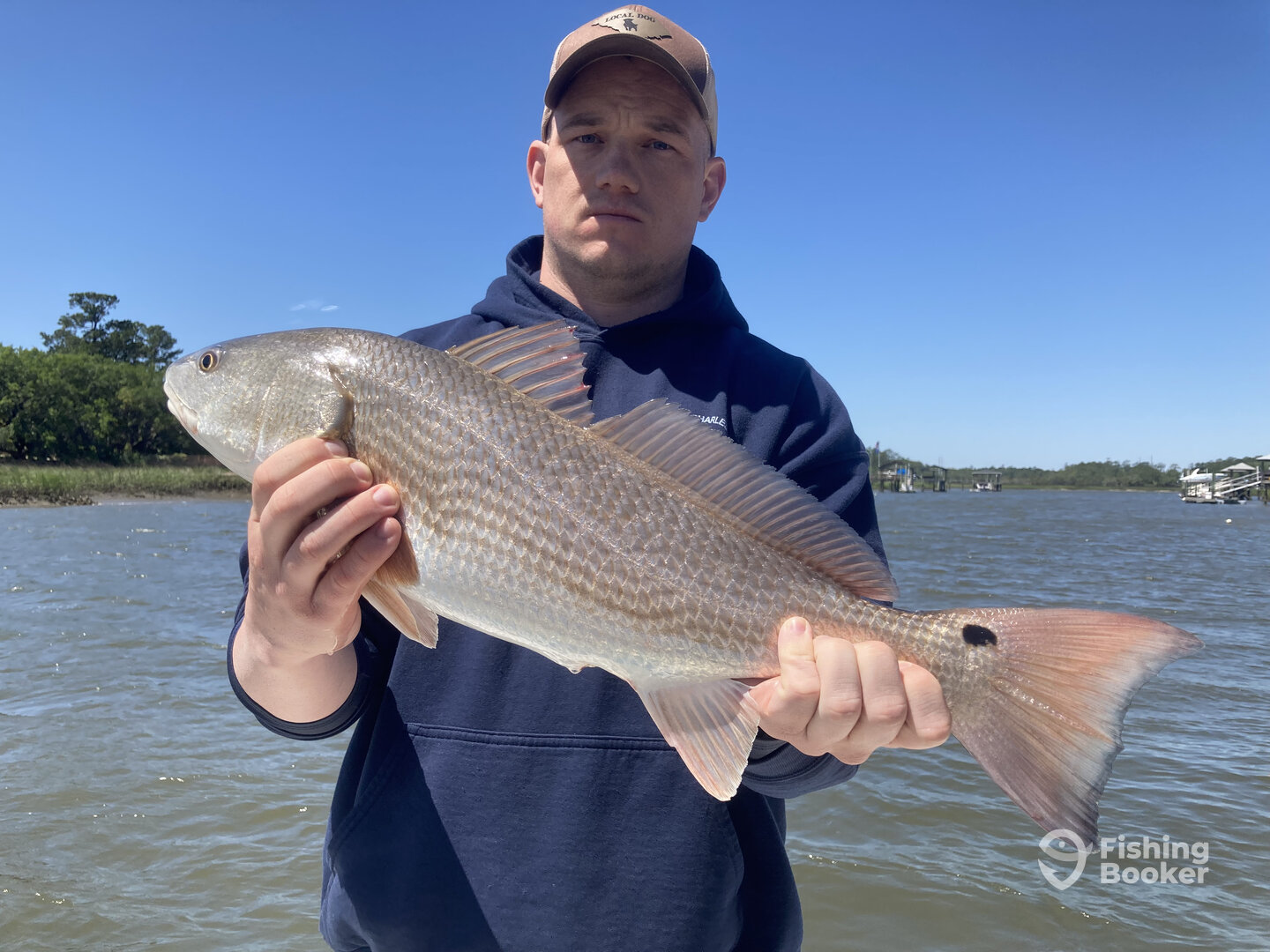 Mount Pleasant Report Photo 0