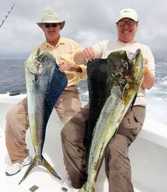 Quepos Report Photo 2