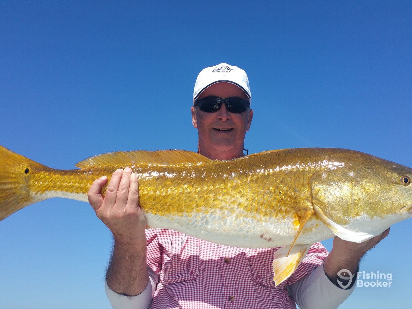 Gulf Shores Report Photo 0