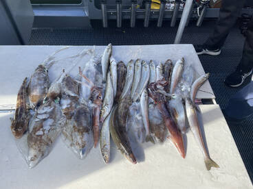 6hr Exclusive Charter