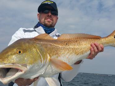 Orange Beach Report Photo 2