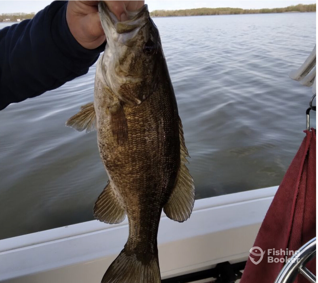 Plattsburgh Report Photo 0