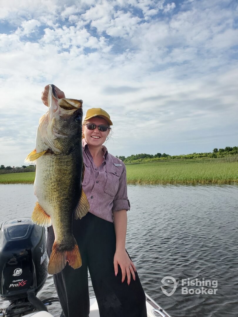 Kissimmee Report Photo 0