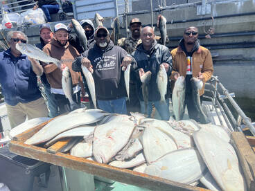 San Francisco Report Photo 1