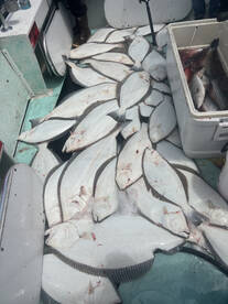 San Francisco Report Photo 2