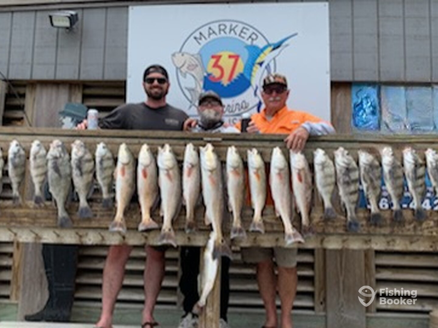 Corpus Christi Report Photo 0