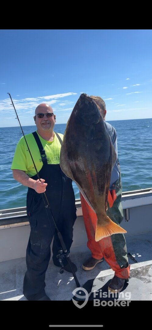 Gloucester Report Photo 0