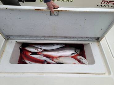 The spring kings have arrived. 