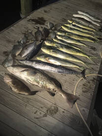 North Myrtle Beach Report Photo 1