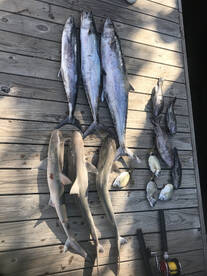 North Myrtle Beach Report Photo 2