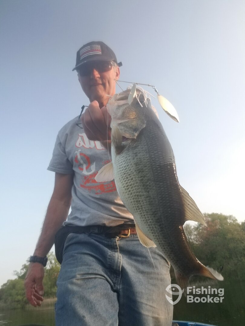 Some nice Bass on spinnerbait 