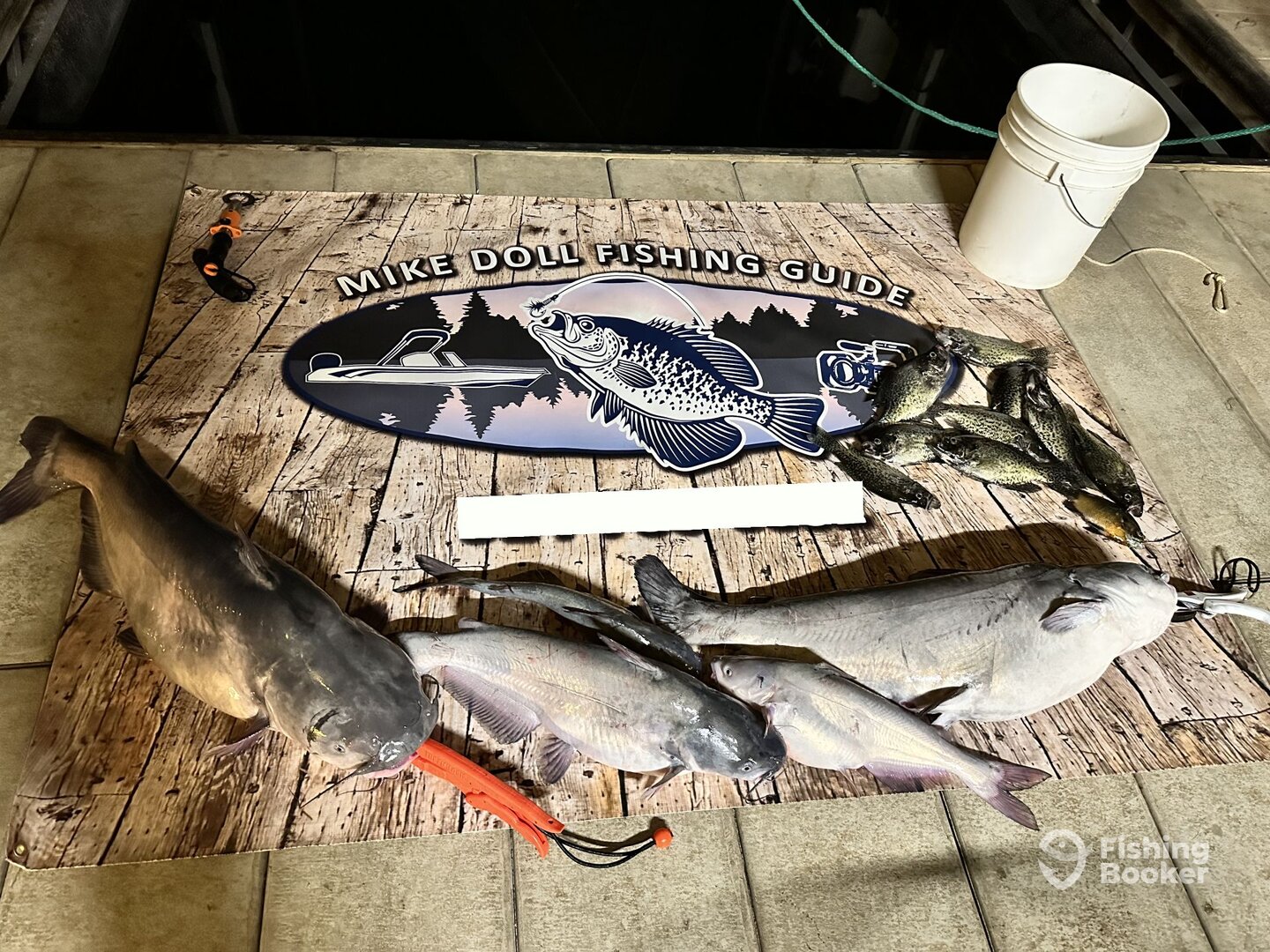 Eldon Report Photo 0