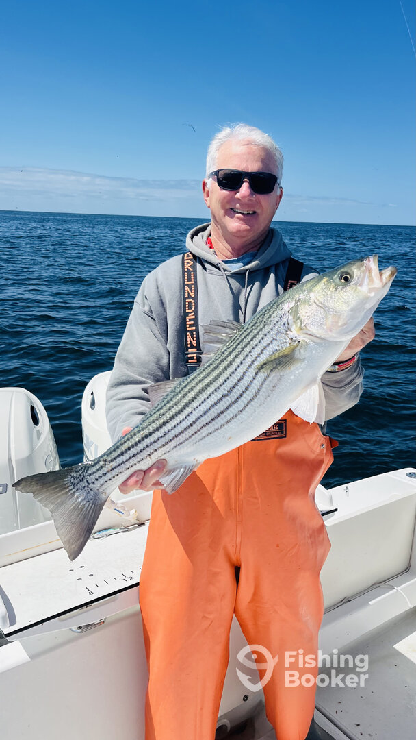 Truro Report Photo 0