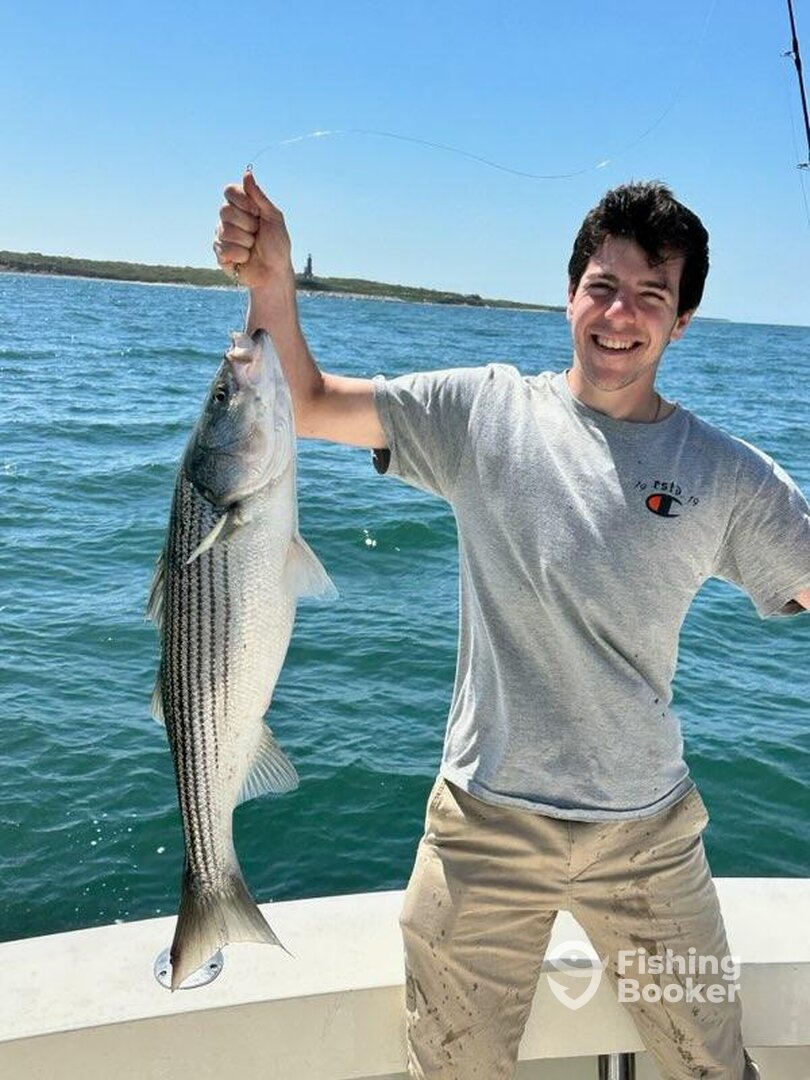 Montauk Report Photo 0